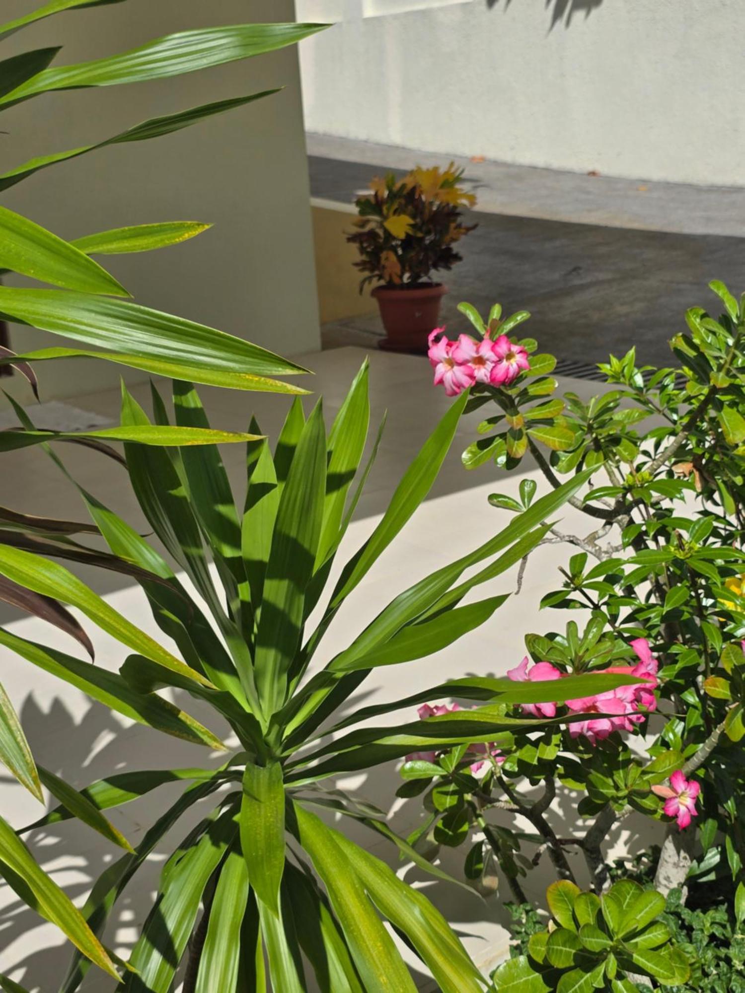 Emma's And Self-catering Appartement *